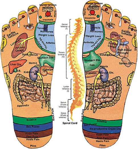 HEAD TO TOE: ACUPRESSURE POINTS THROUGHOUT
